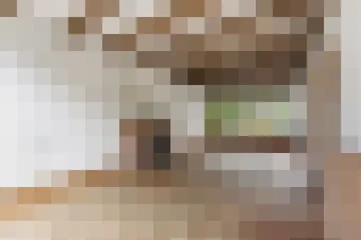 Cipreslaan 68 Rotterdam thumbnail 13