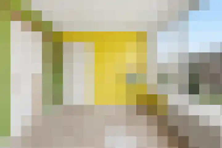 Cipreslaan 68 Rotterdam thumbnail 18