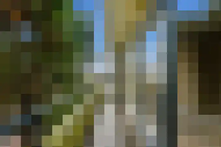 Cipreslaan 68 Rotterdam thumbnail 23