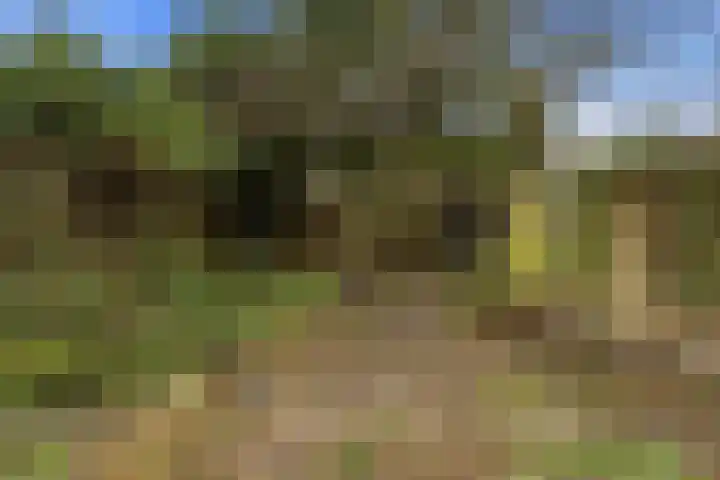 Cipreslaan 68 Rotterdam thumbnail 33