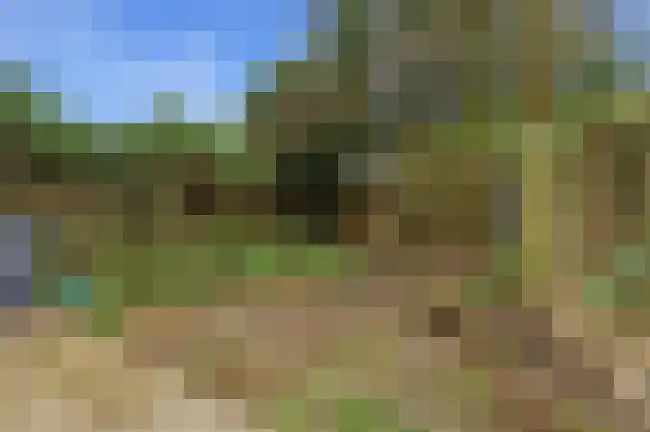 Cipreslaan 68 Rotterdam thumbnail 34