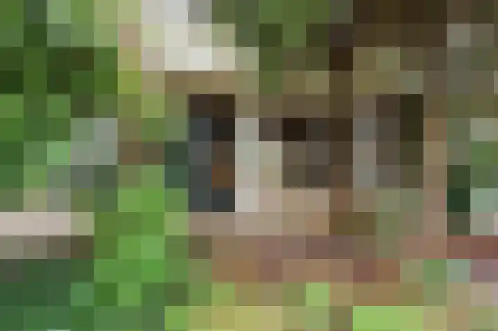 Cipreslaan 68 Rotterdam thumbnail 38