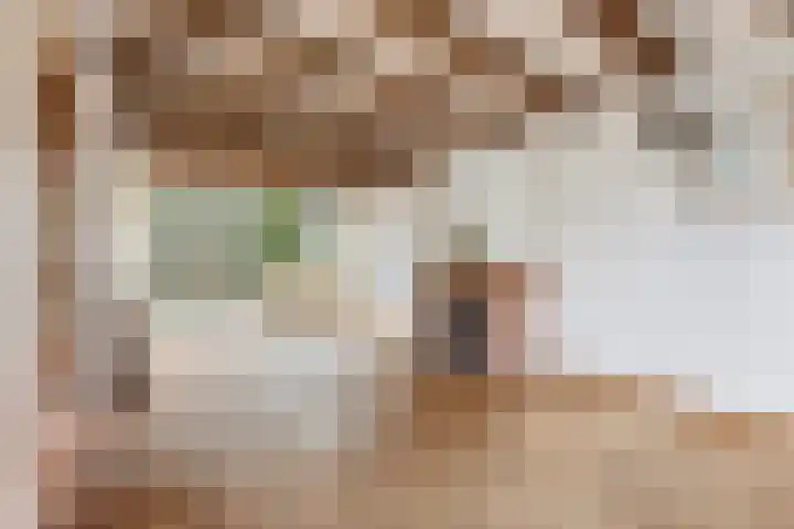 Cipreslaan 68 Rotterdam thumbnail 9