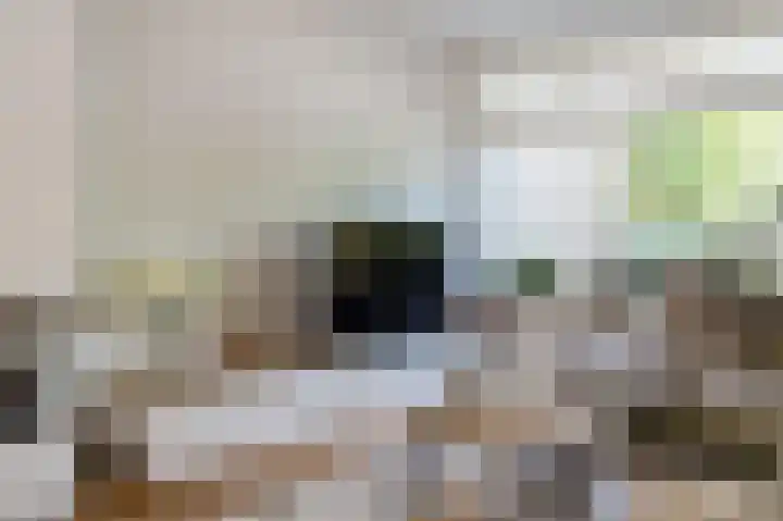 Cipressendreef 13 Vlaardingen thumbnail 12
