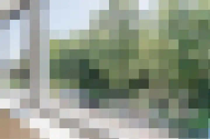 Cipressendreef 13 Vlaardingen thumbnail 44