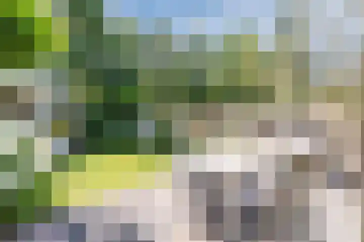 Cipressendreef 13 Vlaardingen thumbnail 57