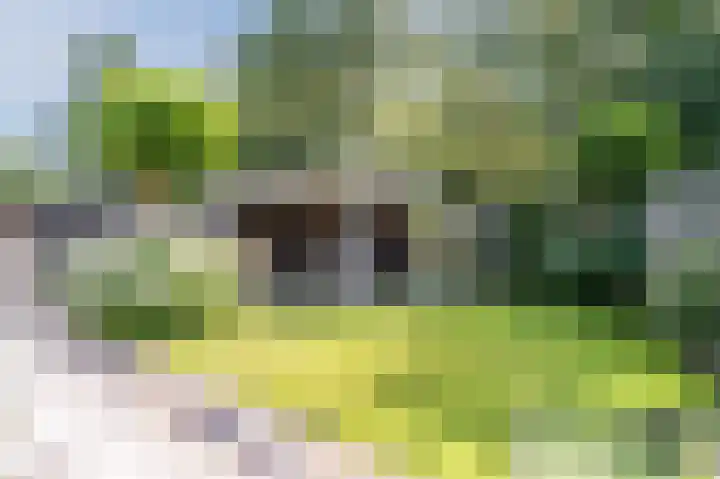 Cipressendreef 13 Vlaardingen thumbnail 58