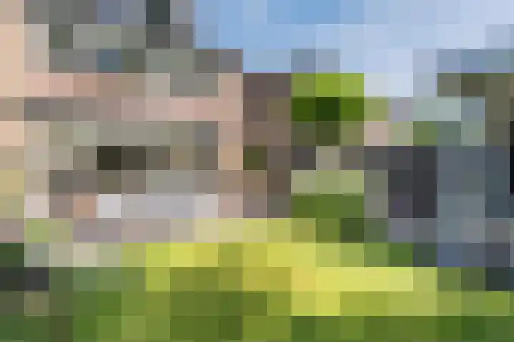 Cipressendreef 13 Vlaardingen thumbnail 62