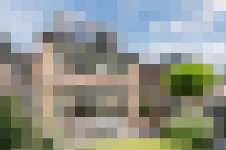 Cipressendreef 13 Vlaardingen thumbnail 64