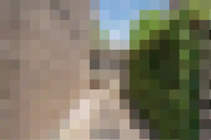 Cipressendreef 13 Vlaardingen thumbnail 65