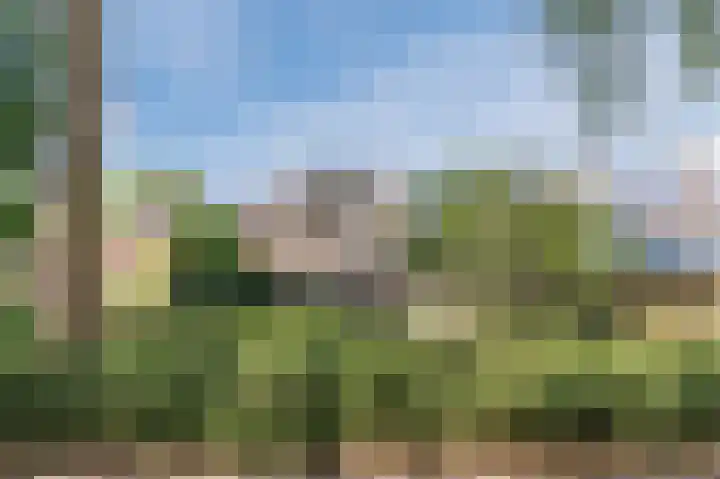 Cipressendreef 13 Vlaardingen thumbnail 67