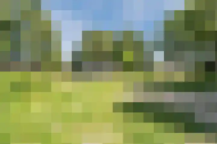 Cipressendreef 13 Vlaardingen thumbnail 69