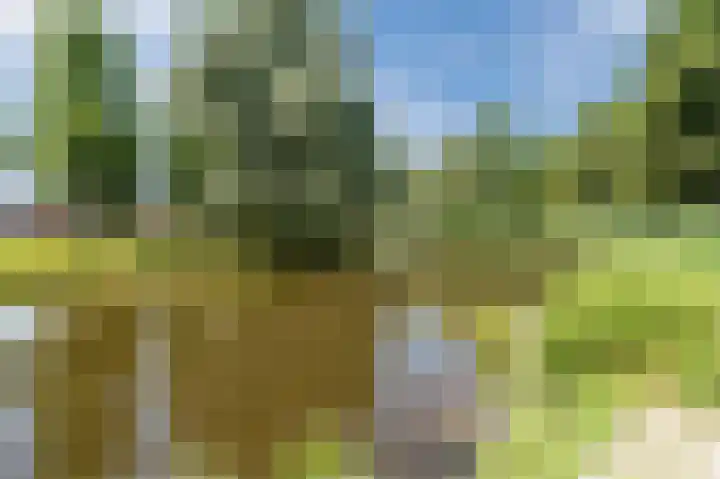 Cipressendreef 13 Vlaardingen thumbnail 73