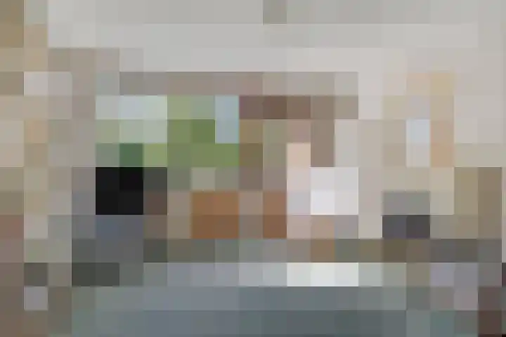 Cipressendreef 15 Vlaardingen thumbnail 27