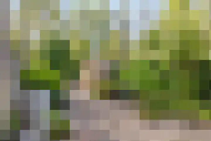 Cipressendreef 15 Vlaardingen thumbnail 32