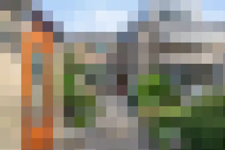 Cipressendreef 15 Vlaardingen thumbnail 34