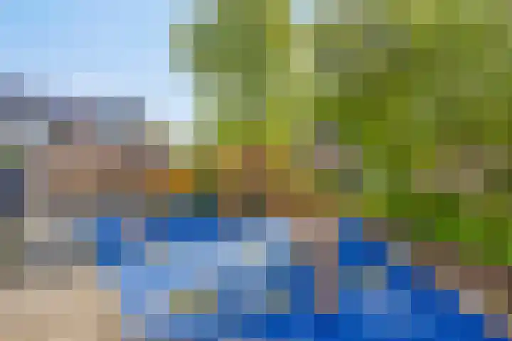 Cipressendreef 15 Vlaardingen thumbnail 35