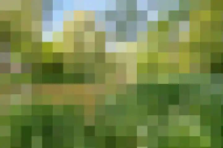 Cipressendreef 15 Vlaardingen thumbnail 36