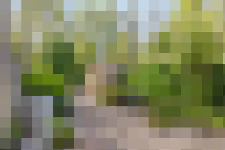 Cipressendreef 15 Vlaardingen thumbnail 4