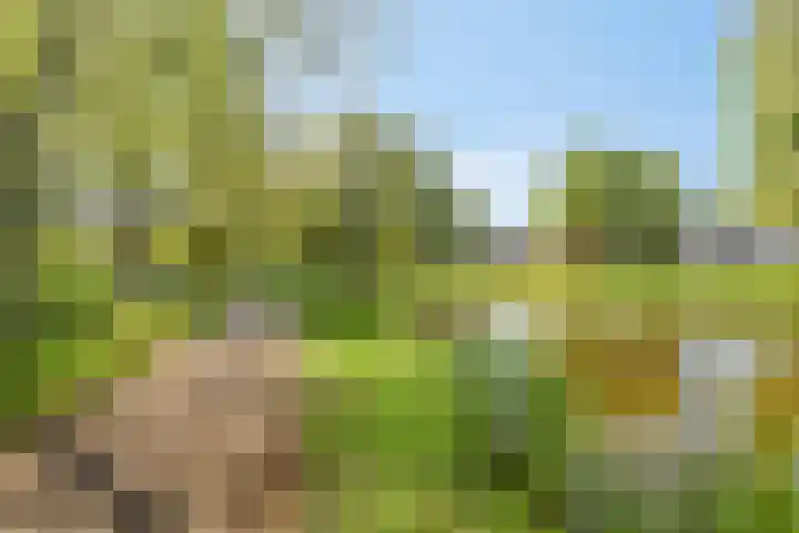 Cipressendreef 15 Vlaardingen thumbnail 5