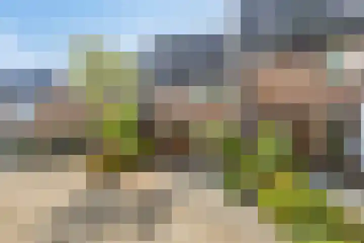 Cipressendreef 15 Vlaardingen thumbnail 6