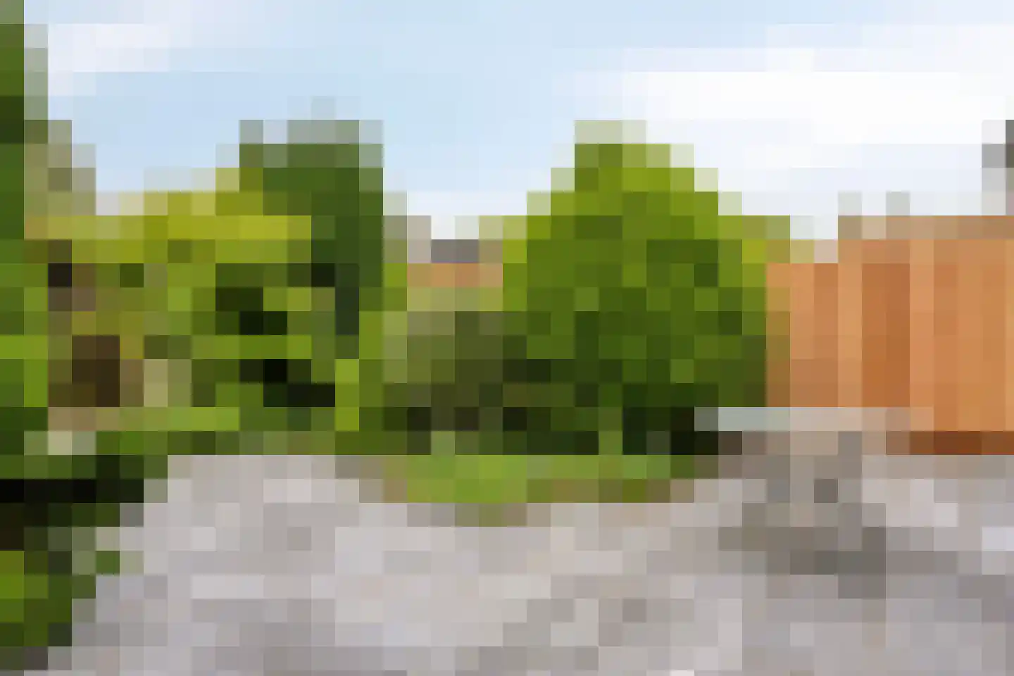 Cipressendreef 31 Vlaardingen thumbnail 11
