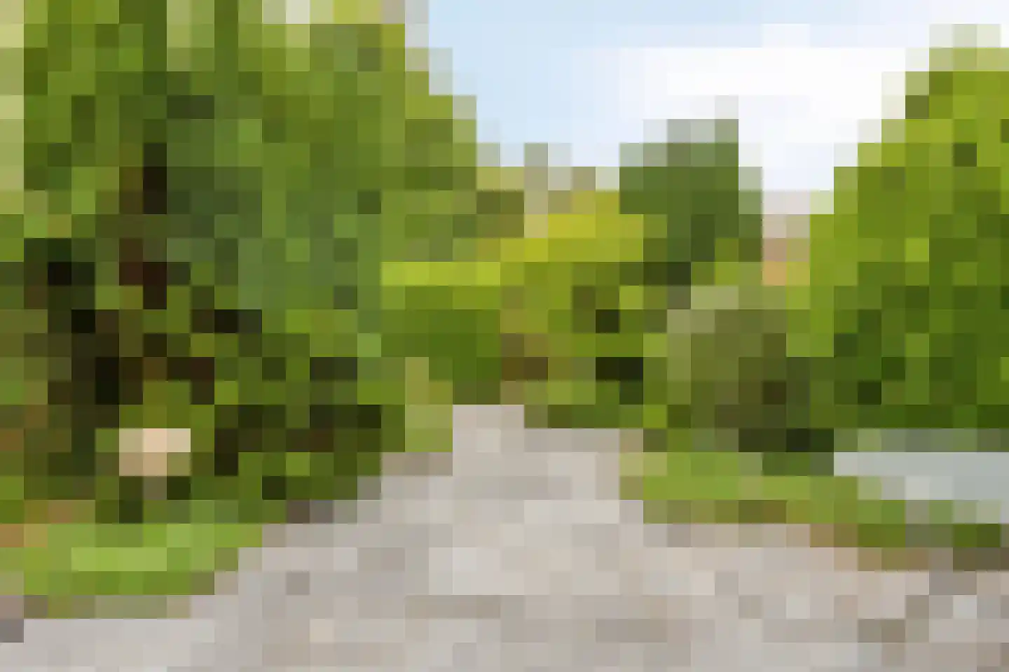 Cipressendreef 31 Vlaardingen thumbnail 12