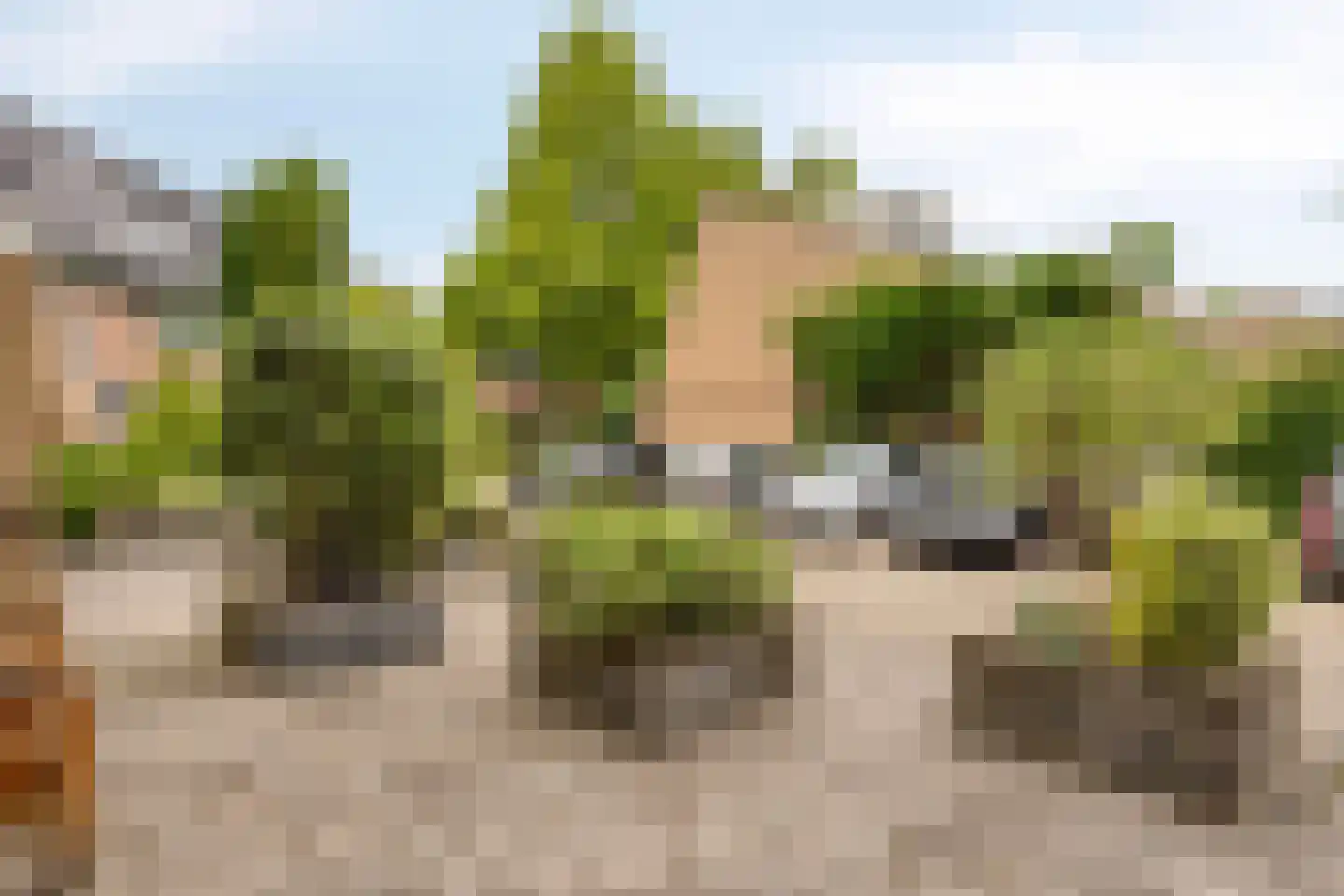 Cipressendreef 31 Vlaardingen thumbnail 6