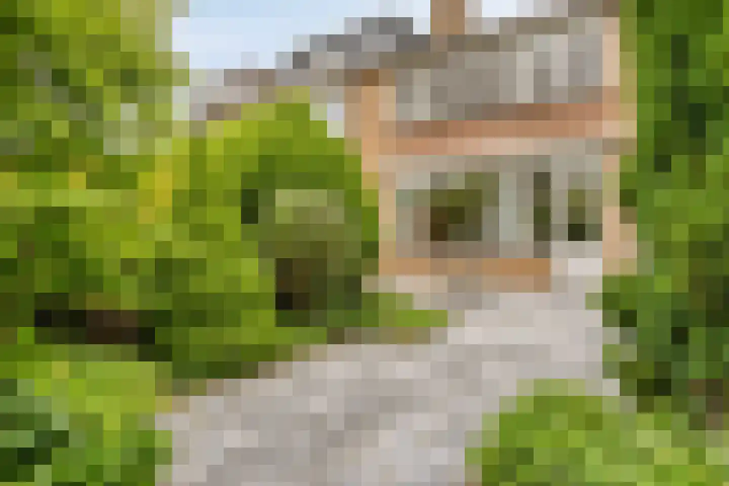 Cipressendreef 31 Vlaardingen thumbnail 8