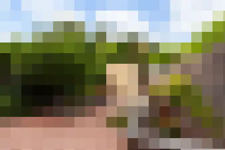 Cipressendreef 33 Vlaardingen thumbnail 17