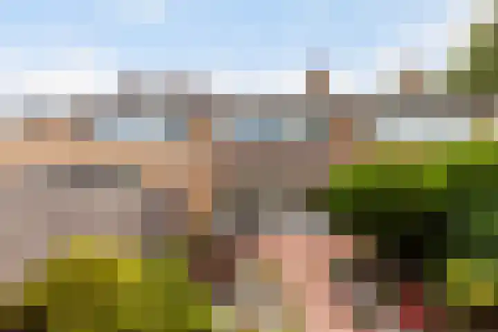 Cipressendreef 33 Vlaardingen thumbnail 20