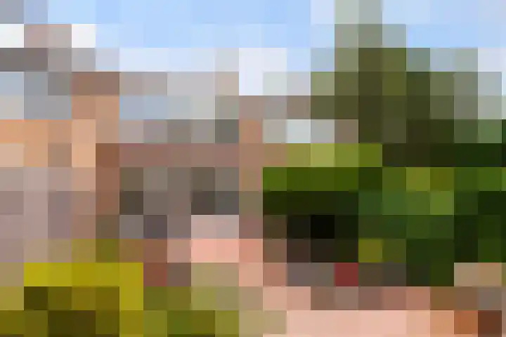 Cipressendreef 33 Vlaardingen thumbnail 21