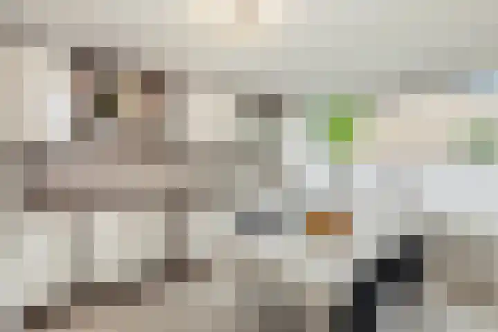 Cipressendreef 33 Vlaardingen thumbnail 9