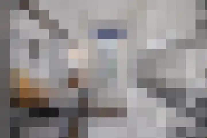 Cipriano de Rorestraat 13 Eindhoven thumbnail 11