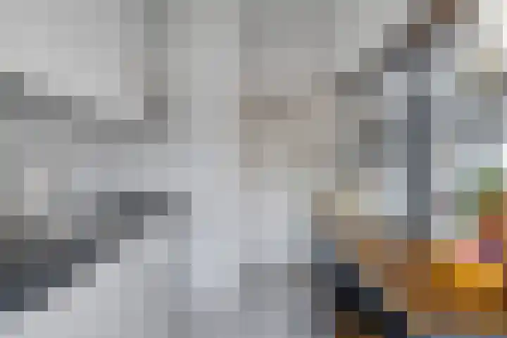 Cipriano de Rorestraat 13 Eindhoven thumbnail 13