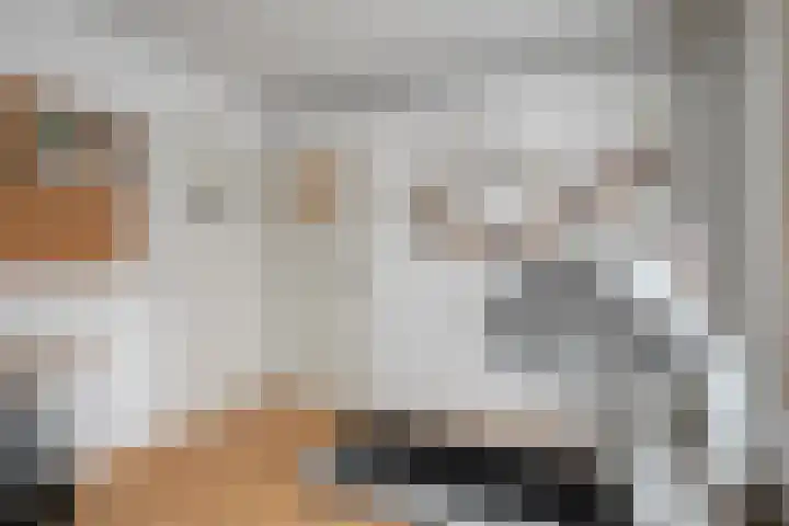 Cipriano de Rorestraat 13 Eindhoven thumbnail 16