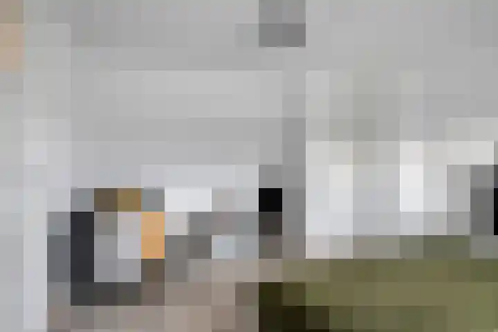 Cipriano de Rorestraat 13 Eindhoven thumbnail 23