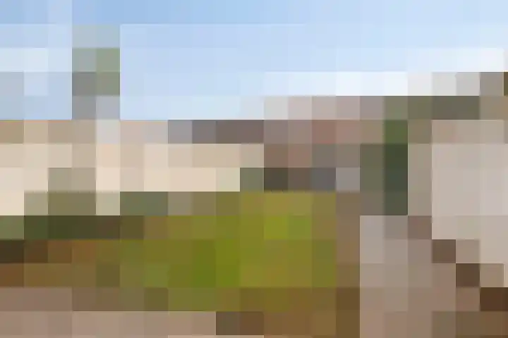 Cipriano de Rorestraat 13 Eindhoven thumbnail 26