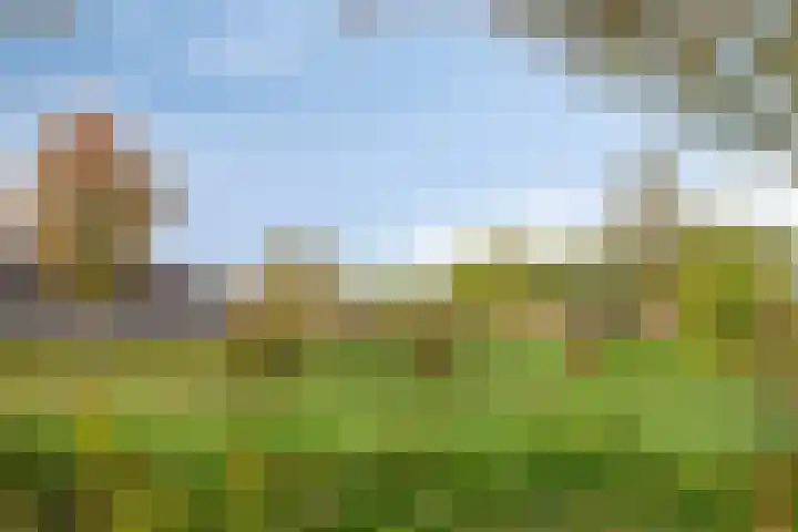 Cipriano de Rorestraat 13 Eindhoven thumbnail 28