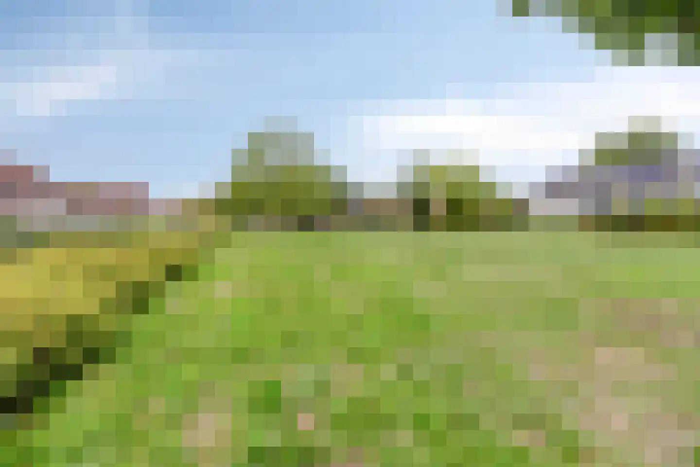 Cipriano de Rorestraat 19 Eindhoven thumbnail 37