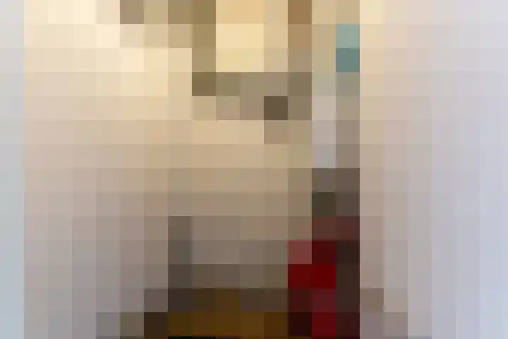 Circusplein 10 Amsterdam thumbnail 14