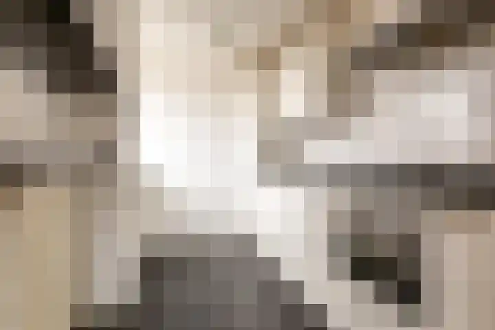 Circusplein 10 Amsterdam thumbnail 5