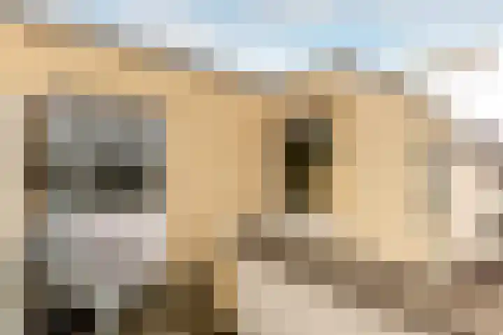 Circusplein 10 Amsterdam thumbnail 8