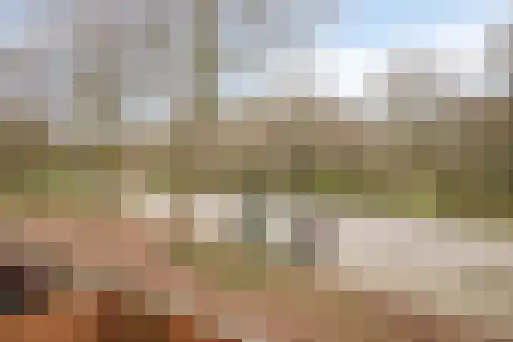 Circusplein 34 Amsterdam thumbnail 22