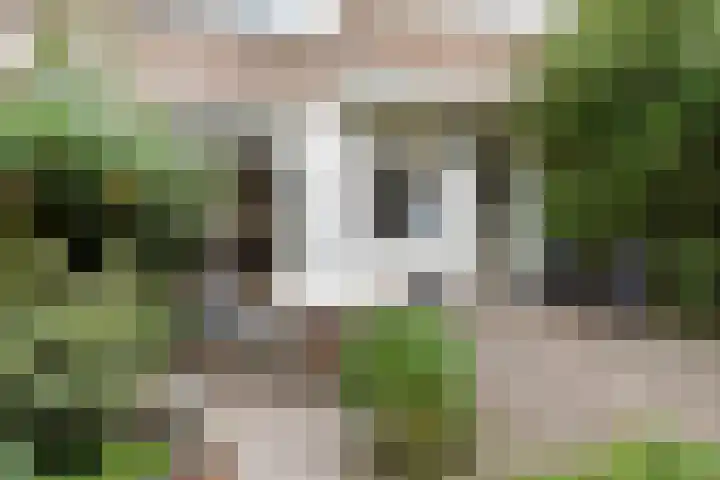 Circusplein 34 Amsterdam thumbnail 24