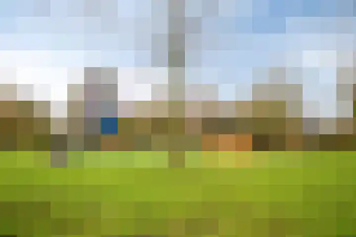 Circusplein 34 Amsterdam thumbnail 25