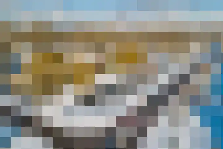 Circusplein 34 Amsterdam thumbnail 4