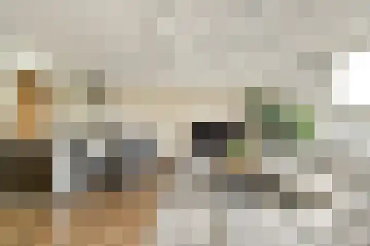 Circusplein 42 Amsterdam thumbnail 4