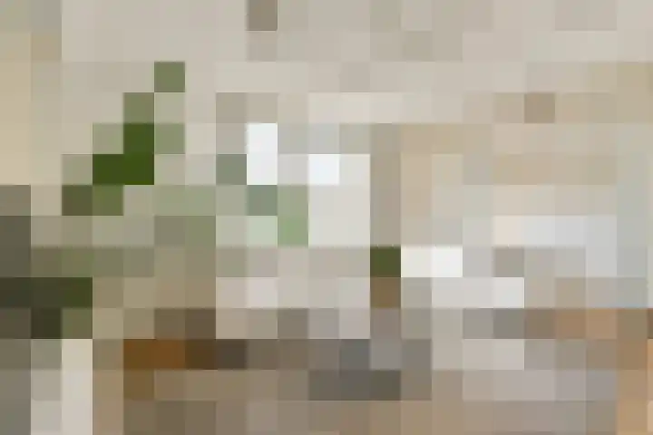 Circusplein 42 Amsterdam thumbnail 5