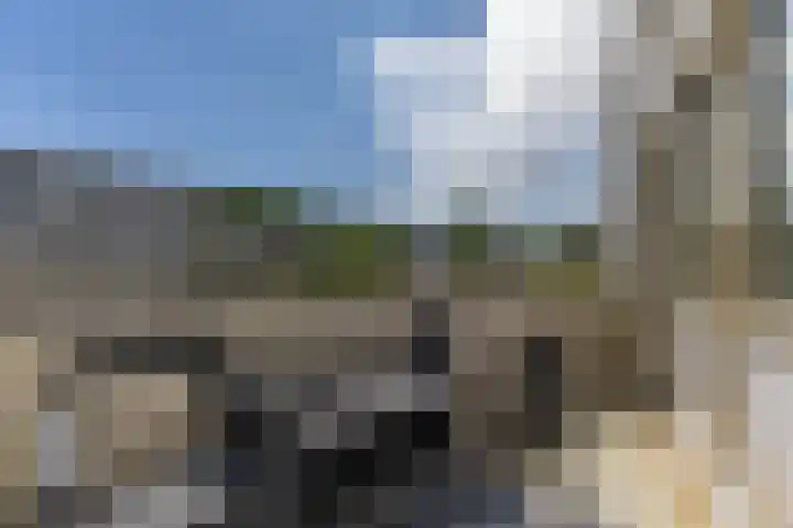 Circusplein 6 Amsterdam thumbnail 5